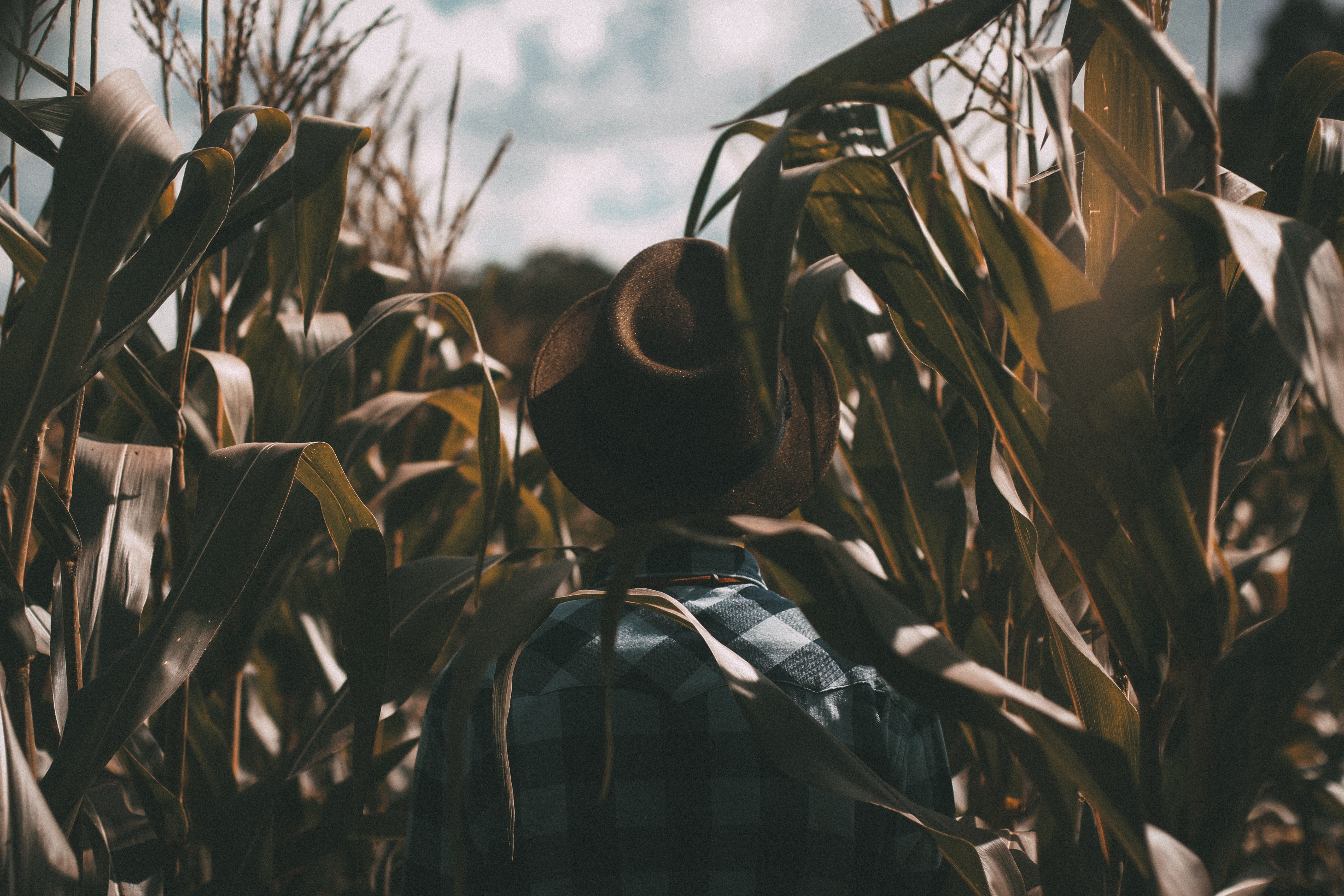 A photo by João Silas. unsplash.com/photos/eh_vUyioHhc