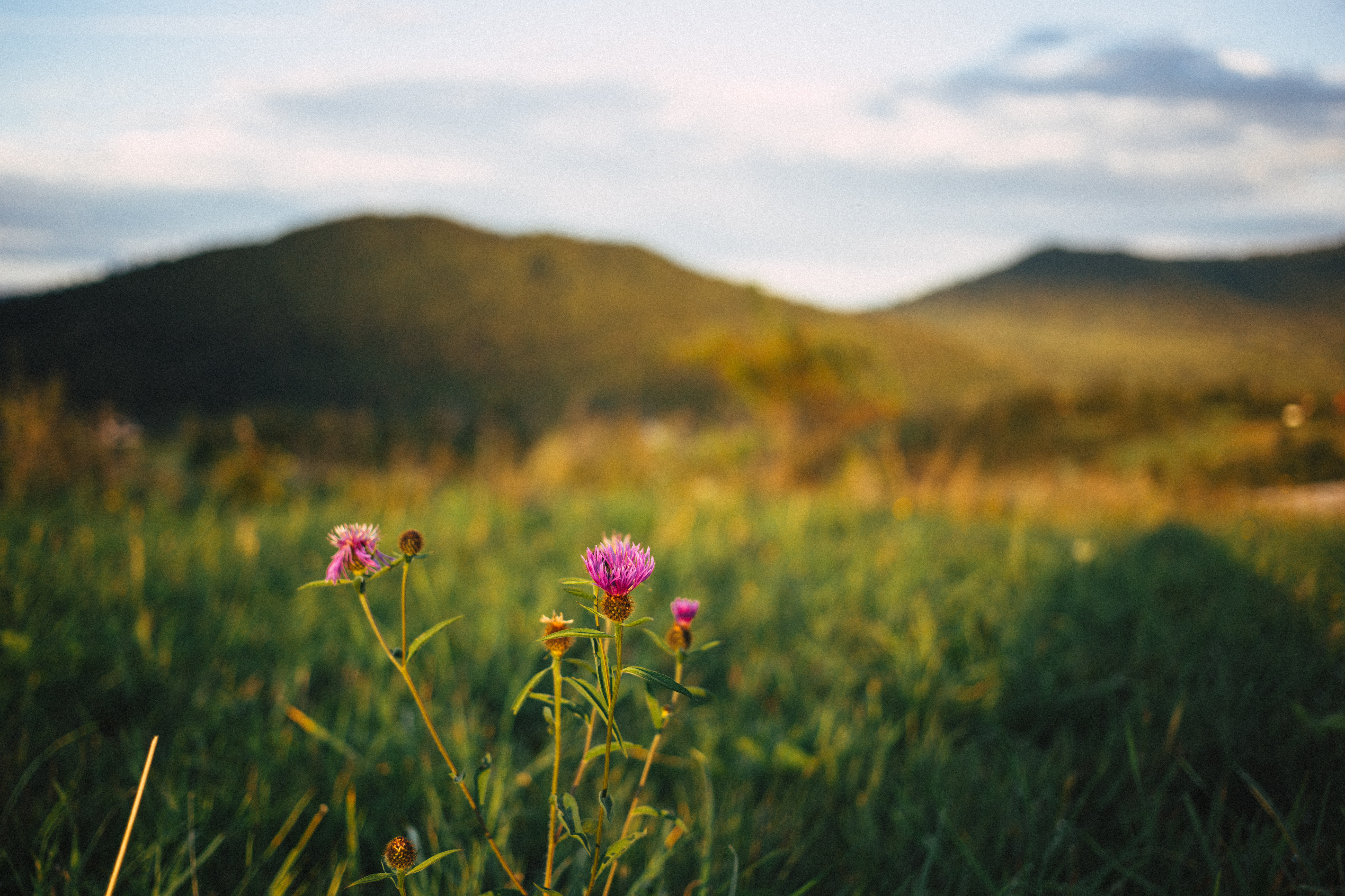 bieszczady_mountains_blurred