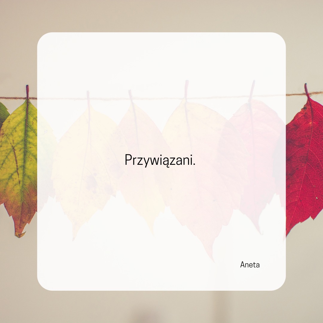 Żyjemy w domach, jeździmy samochodami, otaczamy się wieloma rzeczami. Nasze ż…